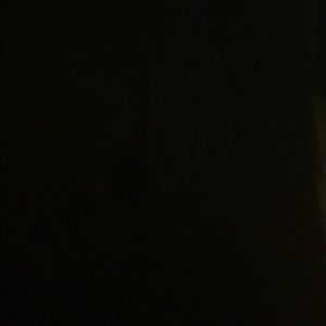 Meet your Posher, Noah